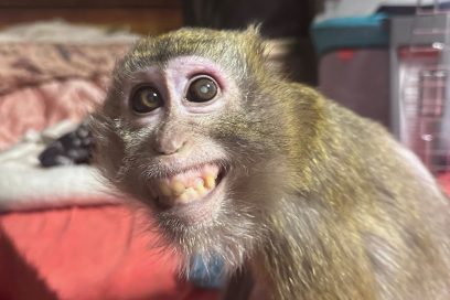 515550270_24487092230888189_159913344717370539_n