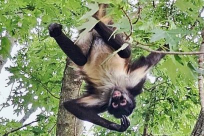 8139c5381ffeee664c4701e3d2979b9a