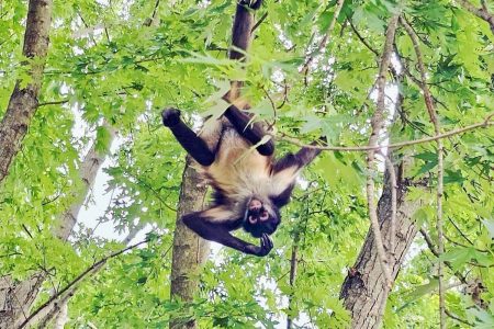 973e3524383131362ef5177b133c5af2f0249fc08d7bcc9bbfb007e6f75ab24b