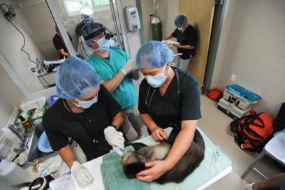 Image 8-15-25 at 10.40 AM (1)